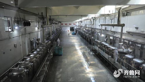 濰坊市坊子區食品安全產業聯盟 技術開發助力企業質效提升，定向解難題200多項